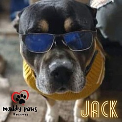 Photo of Jack (Courtesy Post)
