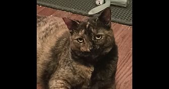 Tilly