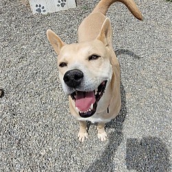 Photo of Hada GCH