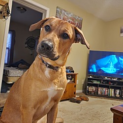 Photo of Max