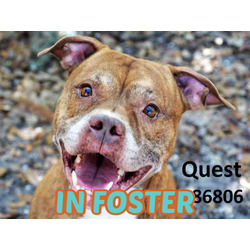 Photo of QUEST