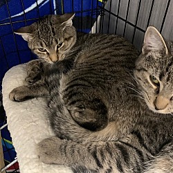 Photo of Tiegra and Leona
