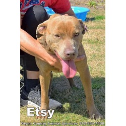 Photo of ETSY