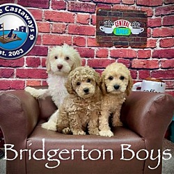 Photo of Bridgerton - Boys