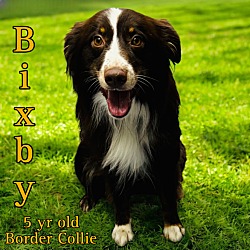 Thumbnail photo of Bixby #1