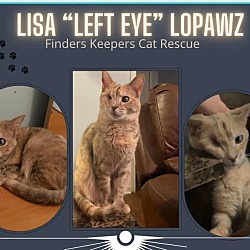 Photo of Lisa "Left Eye" Lopawz