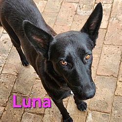 Thumbnail photo of Luna #3