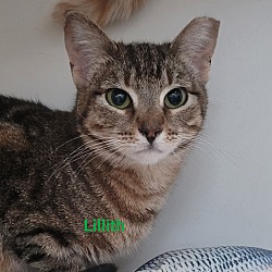 Photo of Lillith