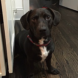Photo of Avon Barksdale
