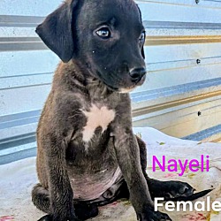 Photo of Nayeli