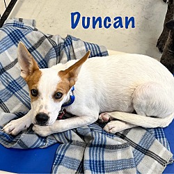 Thumbnail photo of Duncan #2