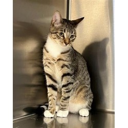 Photo of *SQUEAKY