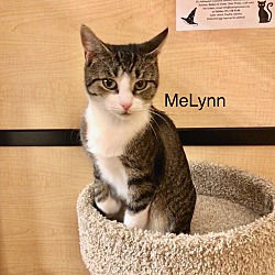 Thumbnail photo of MeLynn #4