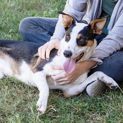 Photo of Darla (aka Stiletto)