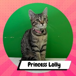 Thumbnail photo of Princess Lolly #1