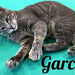 Thumbnail photo of Garcon #1