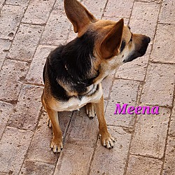 Thumbnail photo of Meena #3