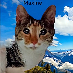 Thumbnail photo of Maxine #2