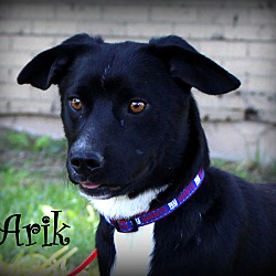 Thumbnail photo of Arik ~ meet me! #1