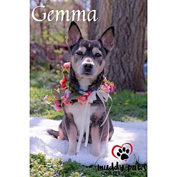 Thumbnail photo of Gemma - No Longer Accepting Applications #2