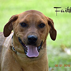 Thumbnail photo of Faith ~ meet me! #1