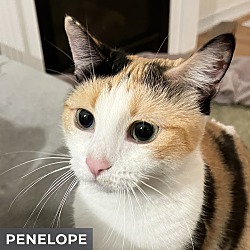 Photo of Penelope