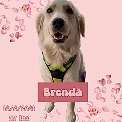 Thumbnail photo of Brenda #3