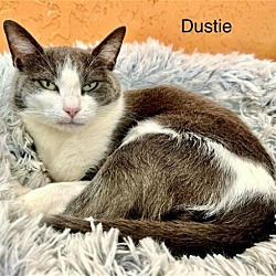 Photo of Dustie