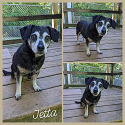 Thumbnail photo of Jetta #3
