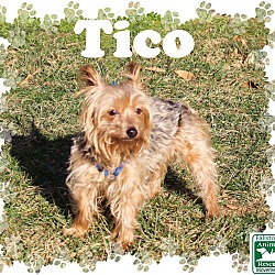 Thumbnail photo of Tico #1