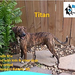 Thumbnail photo of Titan #1