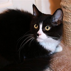 Photo of Zip