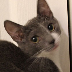 Thumbnail photo of Meep #2