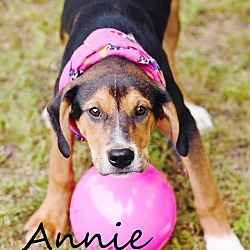 Thumbnail photo of Annie 1-meet me 5/27 #3