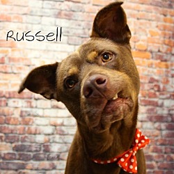 Thumbnail photo of Russell  in CT #2
