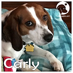 Photo of Carly