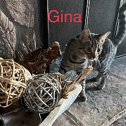 Thumbnail photo of Gina #2