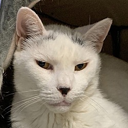Photo of Princess