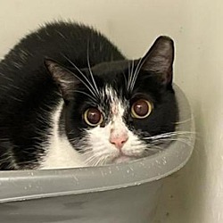 Thumbnail photo of Tippy #2