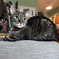Photo of Karl (I'm in foster care!)