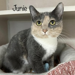 Photo of Junie 23552