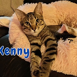 Thumbnail photo of Kenny #2