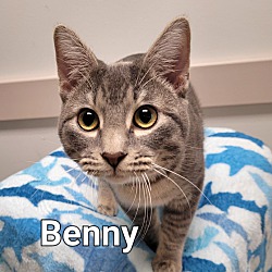 Thumbnail photo of Benny 2024 #1