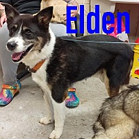 Photo of Elden