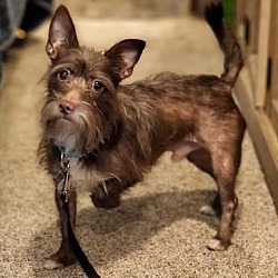 Photo of Beasley