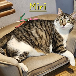 Thumbnail photo of Miri #1