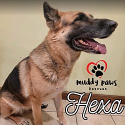 Thumbnail photo of Hexa (Courtesy Post) #1