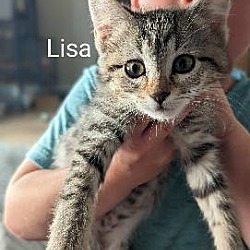 Photo of Lisa