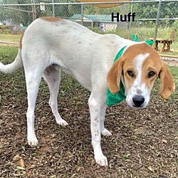 Thumbnail photo of Huff #3