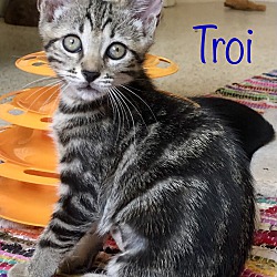 Photo of Troi